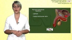 Герпес., красочный рассказ эксперта Герпетического центра Москвы