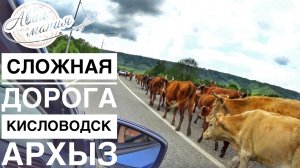 Кисловодск - Архыз дорога | Топливо | ГАИ | Отдых в России | Авиамания