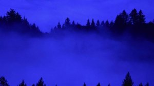 А ночь ложится (стих в прозе)