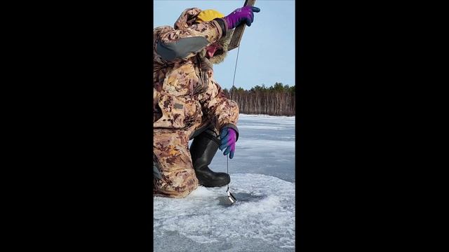 Рыбалка на жерлицы на последний лед Жор Щуки
