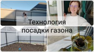 Сажаю газон - правильная технология. Обзор моего мини-сада.