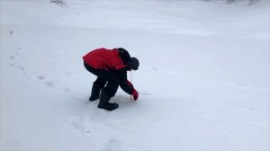 Зимняя рыбалка на Юмагузинском водохранилище. Поездка на Юмагузинское водохранилище.