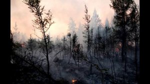 Подсечно  Огневая  Фантазия