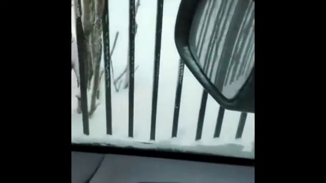 Зима не по чем для масла Аккора Пуск в 36 смотреть онлайн