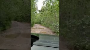 Дорога на гору Воттоваара.Республика Карелия.