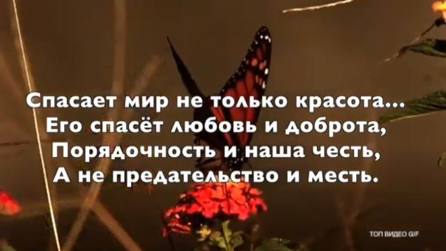 Я просто так желаю вам добра! смотреть онлайн