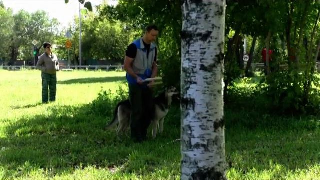 Выборка Дени смотреть онлайн