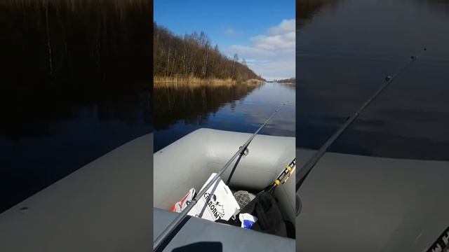 Tohatsu 5 лс и Viking 300 пайолы смотреть онлайн