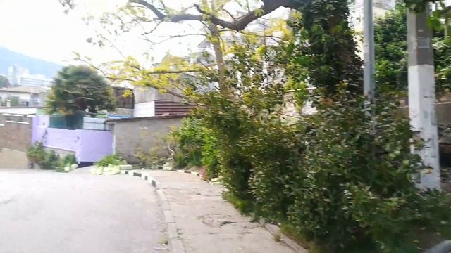 сниму квартиру в Алуште Крым/ЮБК