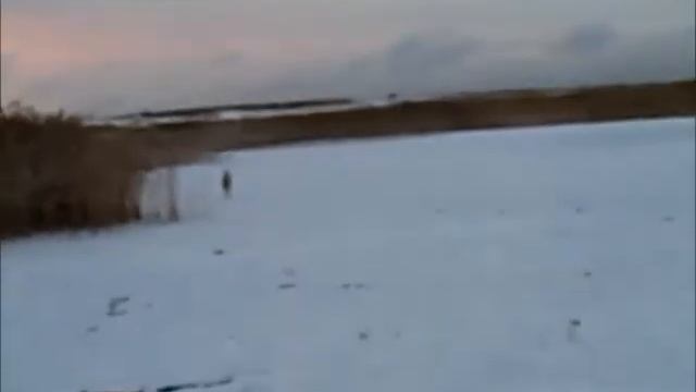 В поиске дичи смотреть онлайн