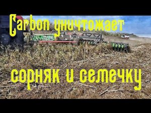 Дисковая борона Carbon D10500 работа по сорняку и семечке.