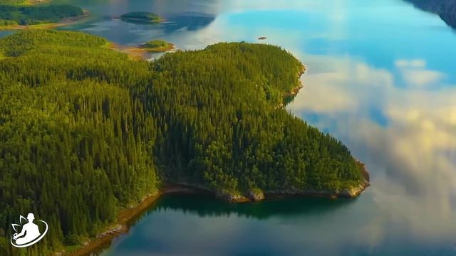 Increíble, Este Sonido Es Mágico 🎧 Poder Curativo De La Suave Música De Flauta Nativa Americana смотреть онлайн