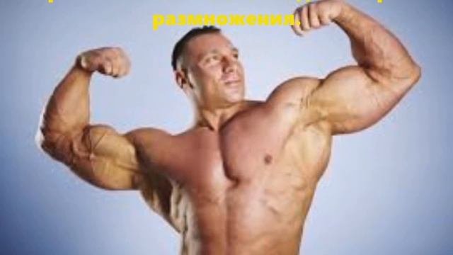 🕐Какой ГОРМОН в какое время?🕕