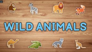 Wild Animals In English (Дикие животные на английском)