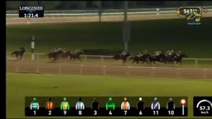 Английский чистокровный жеребец Кабирхан, победитель скачки в Дубае. #лошади #скачки