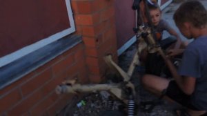 СПАС МИНИ СТЕЛУ ОТ РАЗБОРА И ВОССТАНОВИЛ