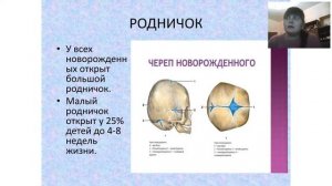 Физическое и нервно-психическое развитие ребенка на первом году жизни