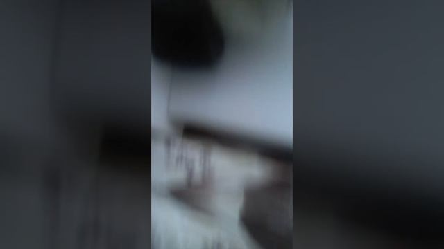 Как выращивать арбизы смотреть онлайн