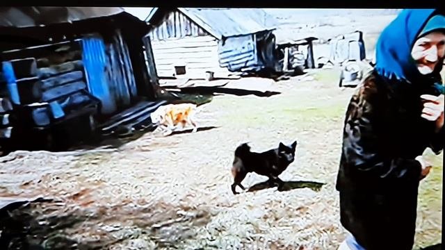 Скажи председатель (разбор в описании)