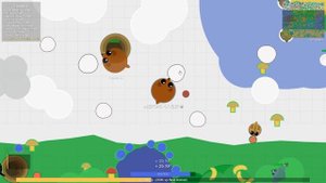 ЭВОЛЮЦИЯ ПОЛЯРНЫХ ЖИВОТНЫХ В МОПИО ! MOPE.IO