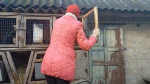 КРОЛИКИ//ВЫХОД МЯСА С ТЕРМОНДЦЕВ И ПОМЕСИ//Разведение и содержание кроликов