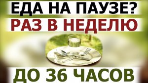 Осторожная тактика очищения организма через отказ от еды: Пищевая пауза 24-36 часов 1 раз в неделю