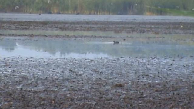 охота пуще неволи смотреть онлайн