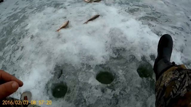 СУМАСШЕДШИЙ КЛЕВ ПЛОТВЫ, ПОДЛЕЩИКА И ПОДЪЯЗКА НА БЕЗМОТЫЛКУ ПО ПОСЛЕДНИМУ ЛЬДУ