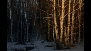 Пейзажная фотография, фотографирую пейзаж в конце марта, в парке вечером.