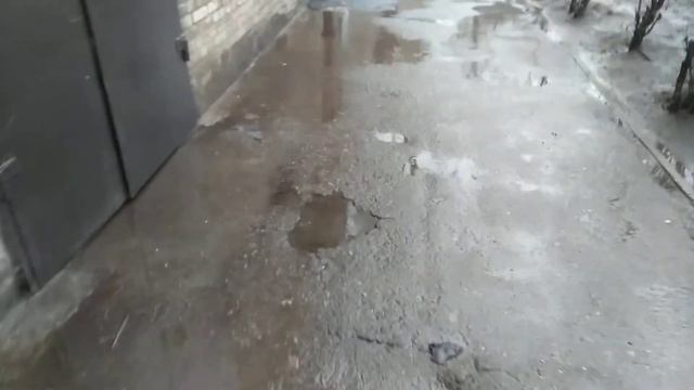 Лужа у подъезда #8. Надо устранять при ремонте отмостки смотреть онлайн