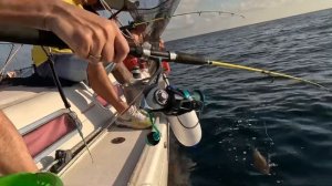 БЕЗУМНАЯ РЫБАЛКА В СРЕДИЗЕМНОМ МОРЕ. ВЫШЛИ НА ЯХТЕ,ЛОВИМ БАРАБУЛИ ,ПОЙМАЛИ ПРЕКРАСНОГО СКАТА!🎣🤪 #