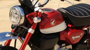 Mini Bike Best Design  -  Honda Monkey