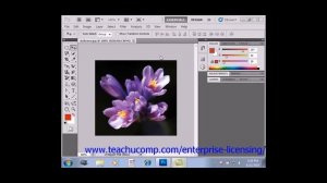 Photoshop CS6 Tutorial Previewing Color Differences Between Operating Systems Adobe Training