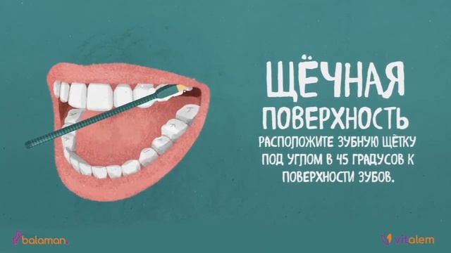 Как правильно чистить зубы смотреть онлайн