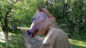 УГАРАЕМ В СЕЛЕ С МАСКОЙ КОНЯ / Get ridiculos with horse mask
