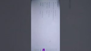 Как изменить ник в рокстар геимс