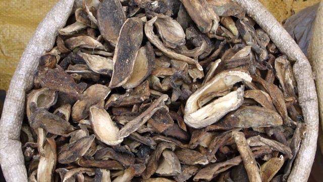 Healing Spices and Condiments in Pankaj Oudhia's Medicinal Plant Database. Part-108