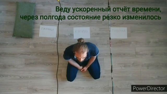 Самостоятельная Инициация Гусеница Куколка Бабочка