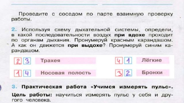 Окружающий мир. Рабочая тетрадь 3 класс 1 часть. ГДЗ стр. 80 №2 смотреть онлайн