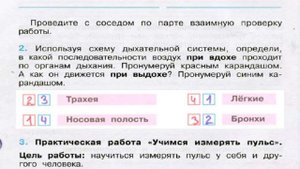 Окружающий мир. Рабочая тетрадь 3 класс 1 часть. ГДЗ стр. 80 №2