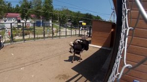 Сахалинский Зооботанический Парк