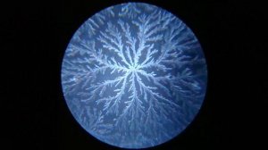 КАК ПРАВИЛЬНО ПИТЬ ВОДУ? КОГДА И СКОЛЬКО? Как структурировать воду