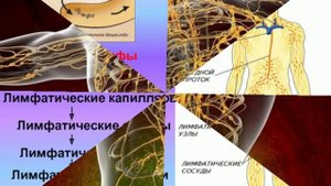 Очищаем лимфатическую систему звуковыми вибрациями.