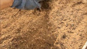 КАК ПРИГОТОВИТЬ ПЕРЕГНОЙ ВЕСНОЙ / СИДИМ ДОМА / МОЙ ЛИЧНЫЙ ОПЫТ САДОВОДСТВА