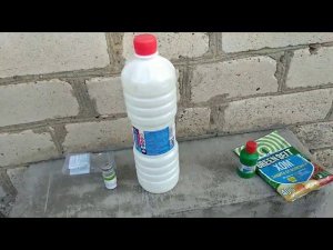 Розы. Нетрадиционное лечение розы Розариум Ютерсен от черной пятнистости