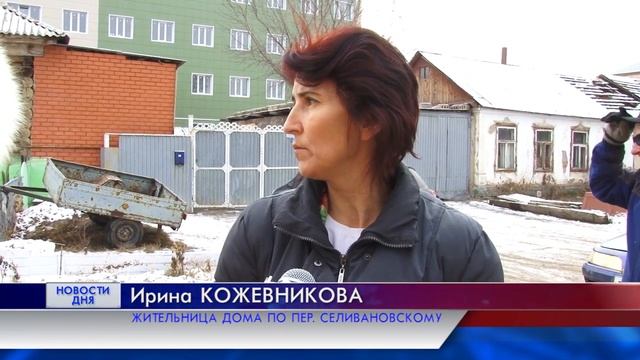 Бездомные собаки в Оренбурге смотреть онлайн