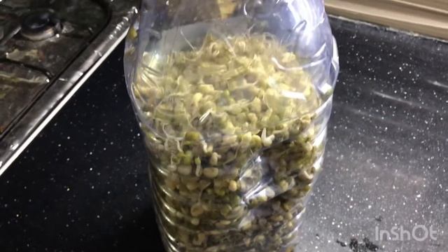 Проросший маш смотреть онлайн