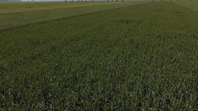 AGROCZAS 2020 - Edycja OnLine - poletka demonstracyjne - Pszenica SOLINDO смотреть онлайн