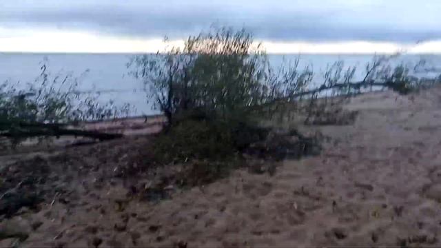 Оржицы Котлин смотреть онлайн