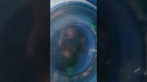 Первый пуск стиральной машины Haier HW70-BP12758